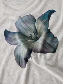 LMTD T-shirt Hibi Light Grey Melange